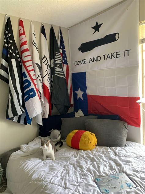 cool flags for room